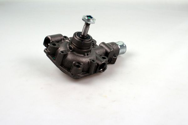 P9919.JPG