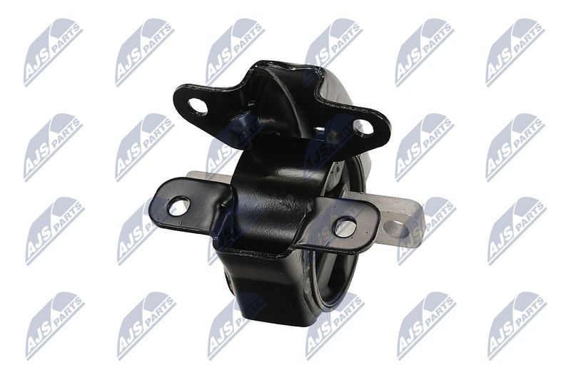 Paigutus, Mootor, NTY ZPS-CH-095