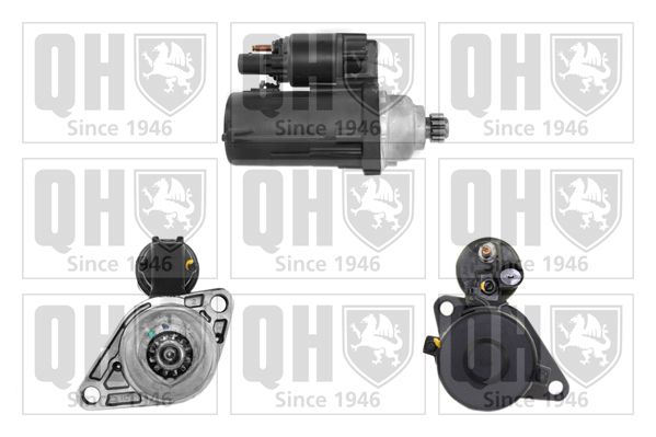 QH_QRS1719_GRUPPE.JPG