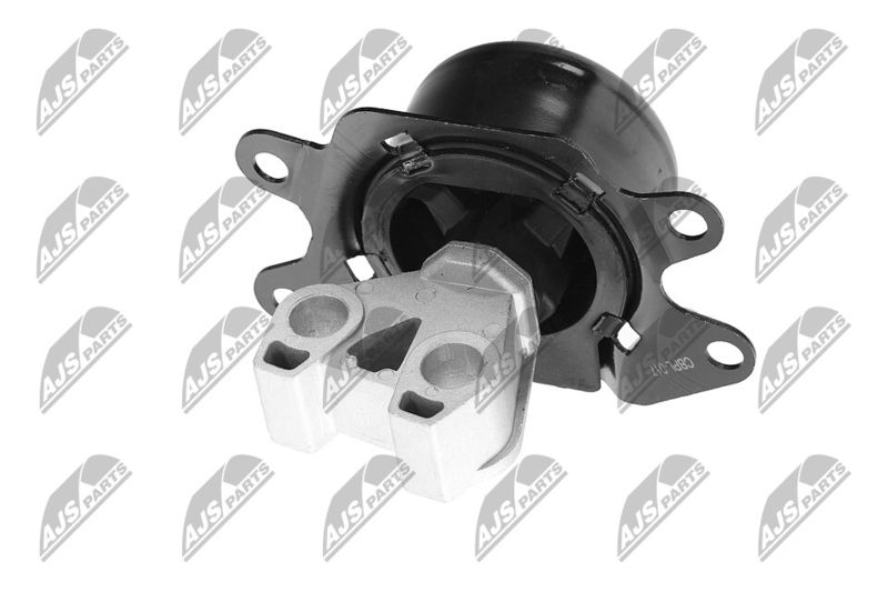 Paigutus, Mootor, NTY ZPS-PL-053