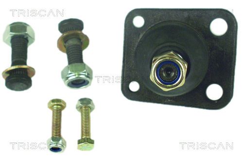 TRIS85002533.JPG