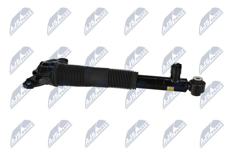 Amort, NTY A-LR-037