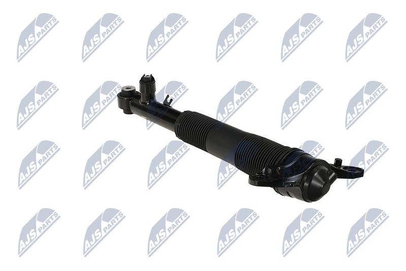 Amort, NTY A-LR-037