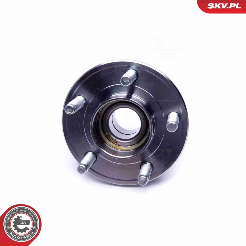 ESEN SKV 29SKV383 Wheel Bearing Kit