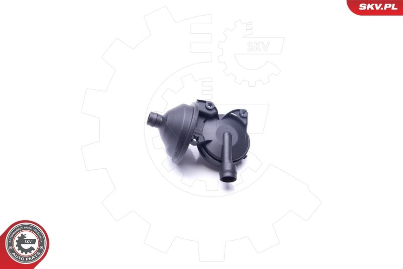 ESEN SKV 31SKV076 Oil Separator, crankcase ventilation