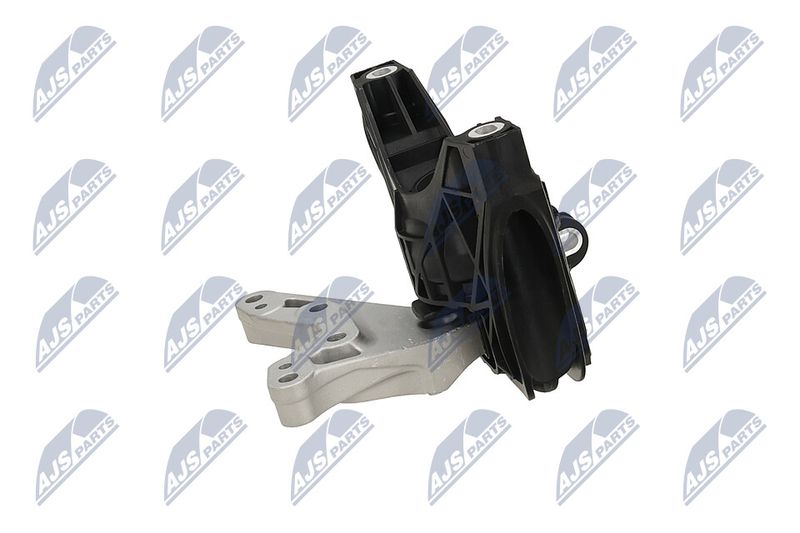Paigutus, Mootor, NTY ZPS-PL-081