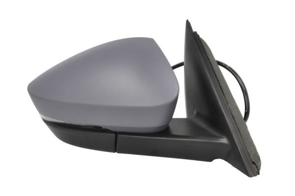 BLIC 5402-43-1925313P Exterior Mirror