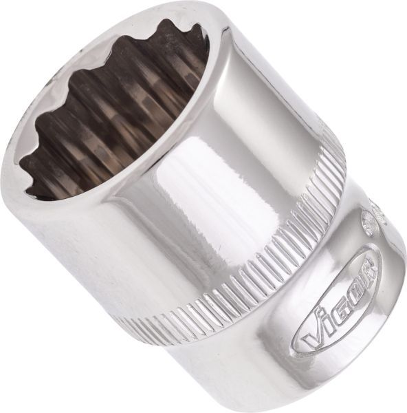 Padrun, VIGOR V7538-18