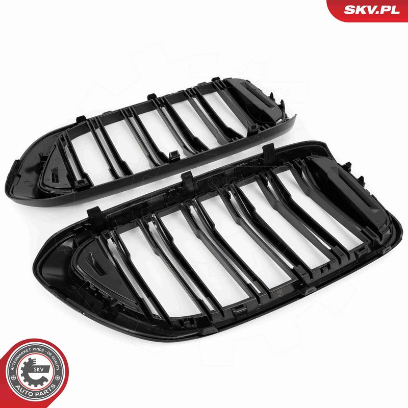 ESEN SKV 66SKV211 Radiator Grille