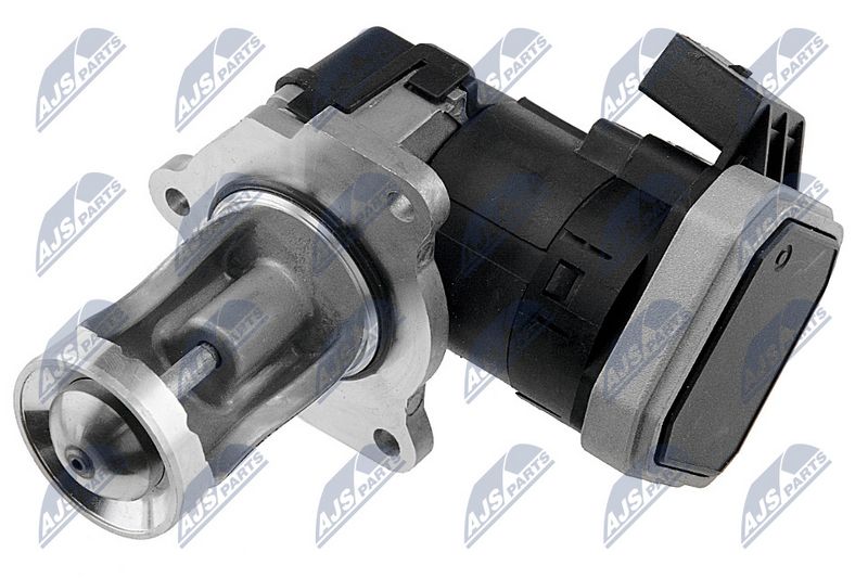 egr-vw-016_2-wm.JPG