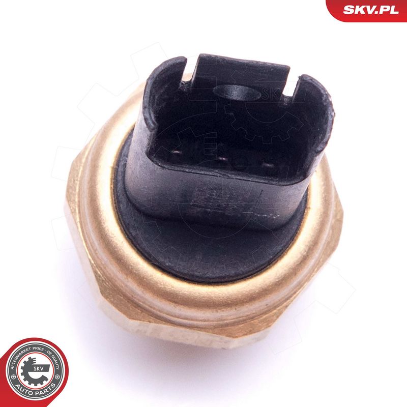 Andur, kütuserõhk, ESEN SKV 17SKV620