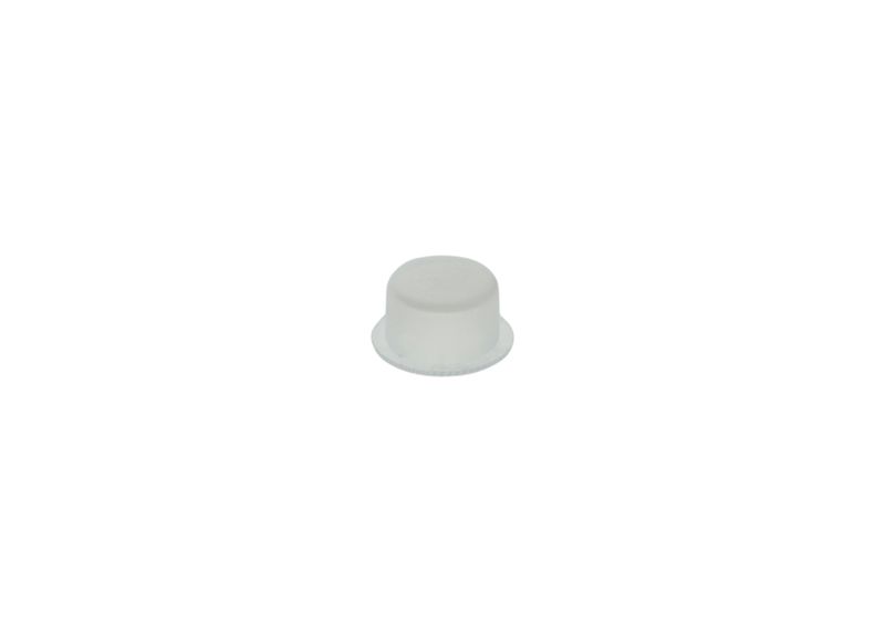 Capac 1 900 508 011 BOSCH