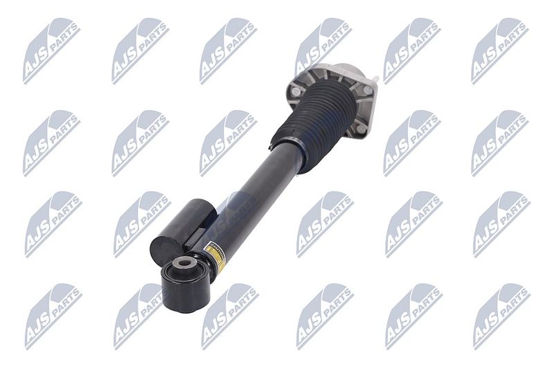 Amort, NTY A-LR-019