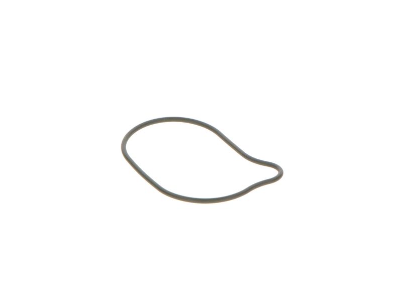 BOSCH 2440210028 Rubber Ring