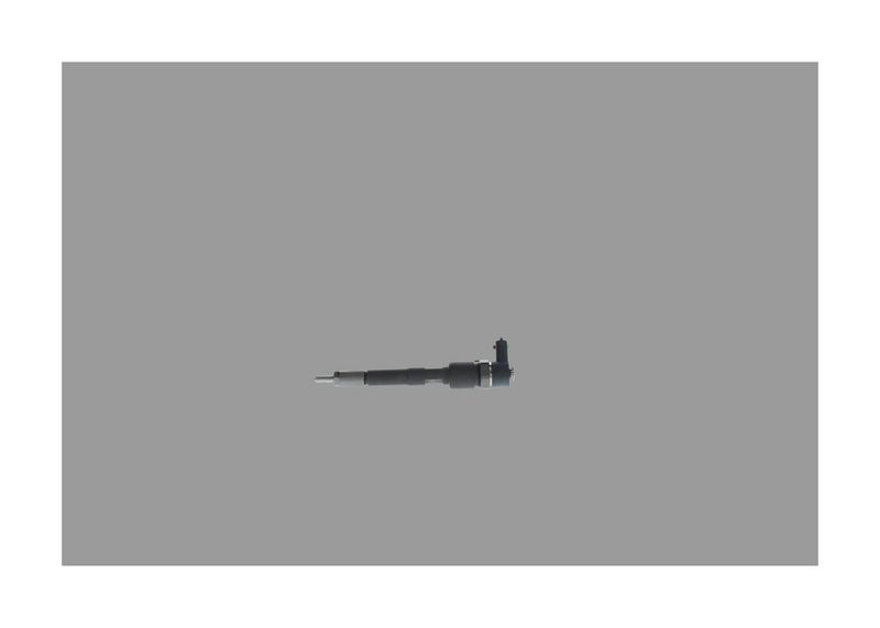 BOSCH Injecteur 0 445 110 351