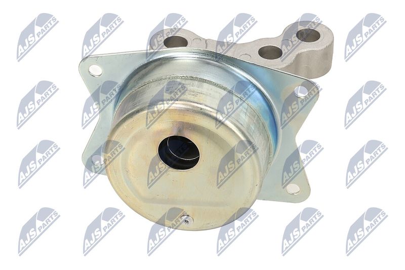 Paigutus, Mootor, NTY ZPS-PL-049