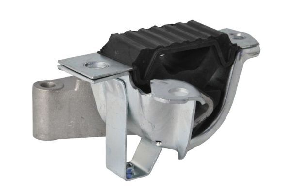 REINHOCH RH11-1098 Mounting, engine