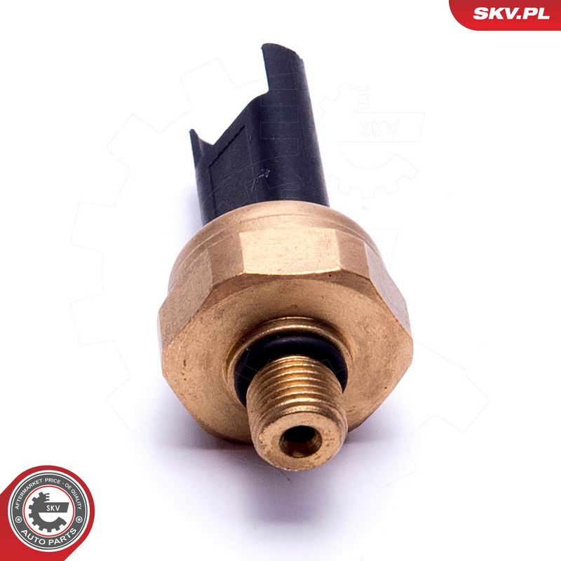 Andur, kütuserõhk, ESEN SKV 17SKV620