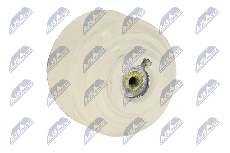 Paigutus, Mootor, NTY ZPS-ME-108