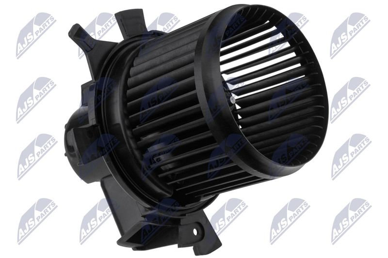 EWN-CT-007_1-WM.JPG