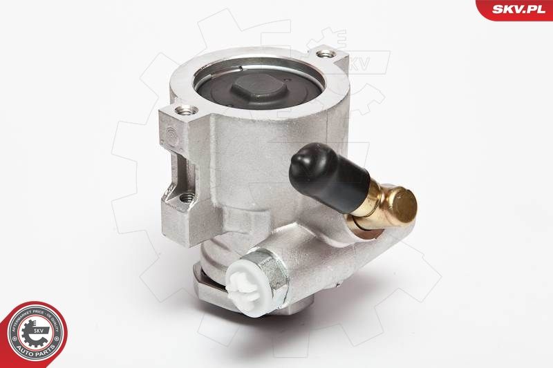 ESEN SKV 10SKV047 Hydraulic Pump, steering