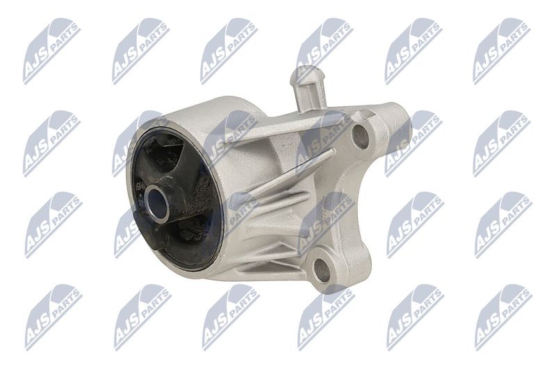 Paigutus, Mootor, NTY ZPS-PL-093