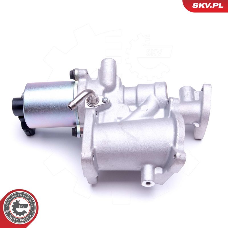 EGR-klapp, ESEN SKV 14SKV166