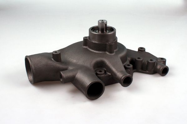 P9935.JPG