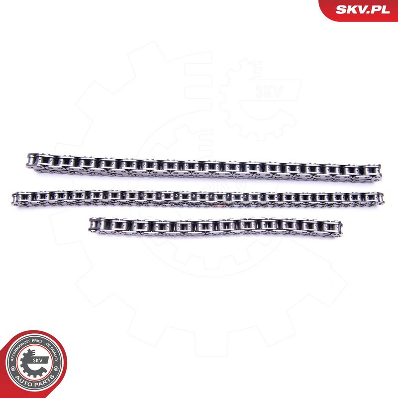 Mootori keti komplekt, ESEN SKV 21SKV122