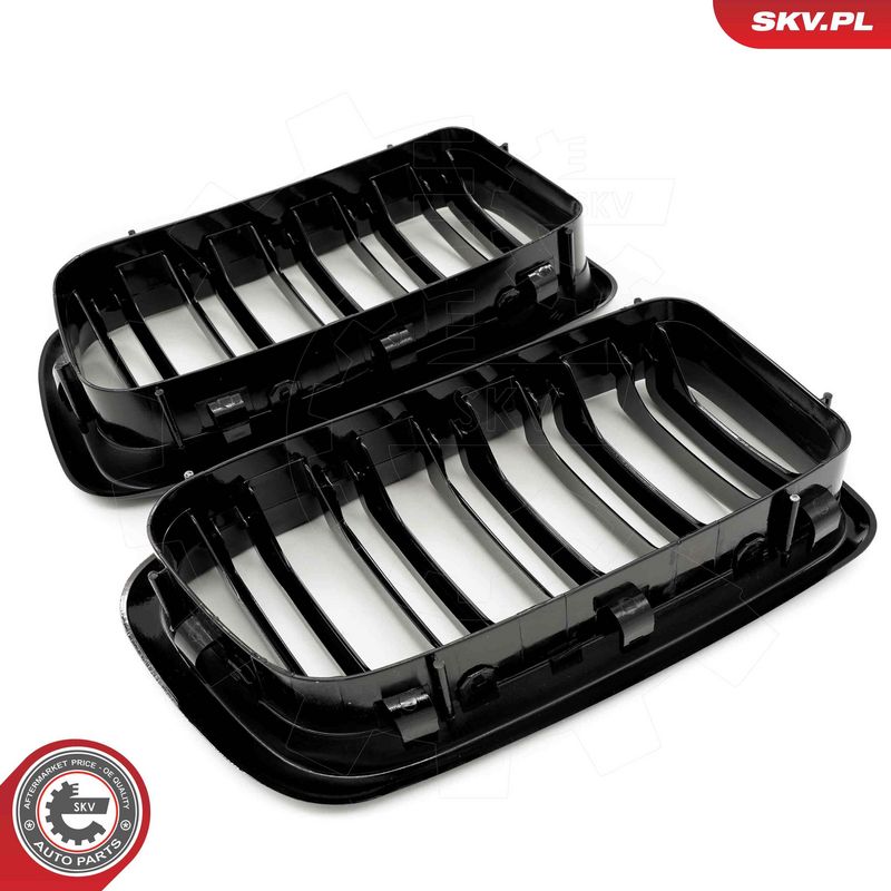 Radiaatorivõre, ESEN SKV 66SKV216