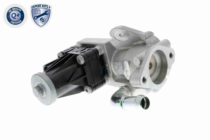 VEMO V25-63-0019 EGR Valve