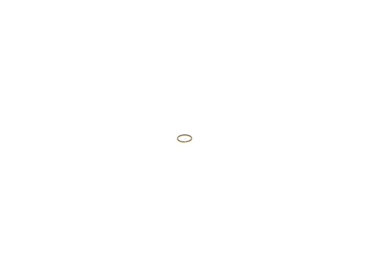 Image 27