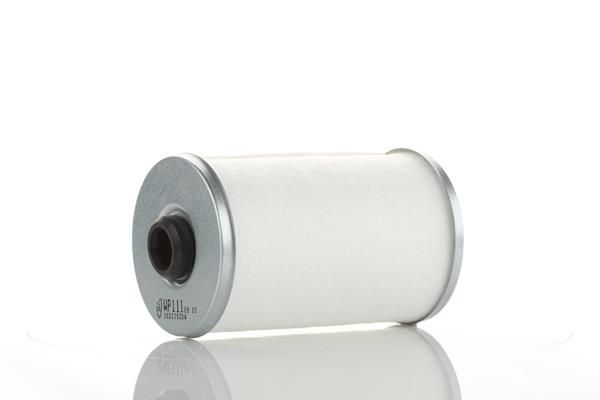 WP111X.JPG