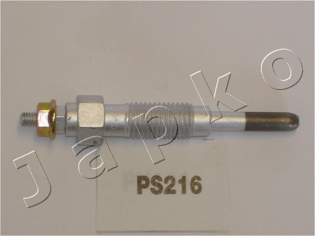 PS216_1.JPG