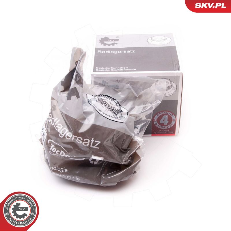 Rattalaagrikomplekt, ESEN SKV 29SKV094