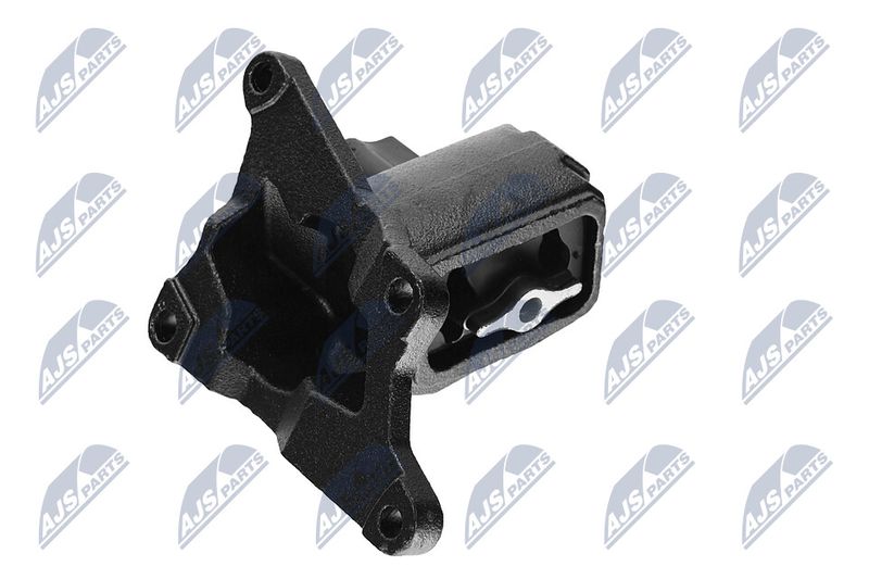 Paigutus, Mootor, NTY ZPS-CH-030