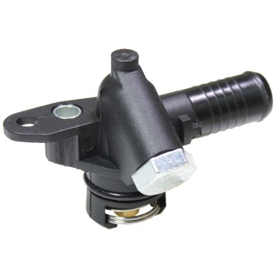 VE80217.JPG