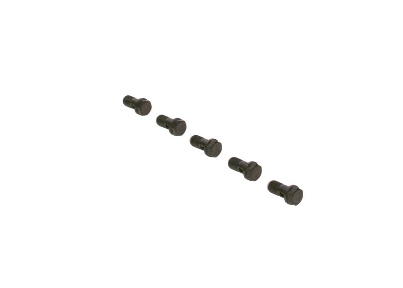 Surub F 019 D01 024 BOSCH