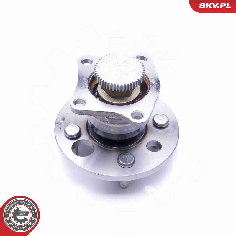 ESEN SKV 29SKV242 Wheel Bearing Kit