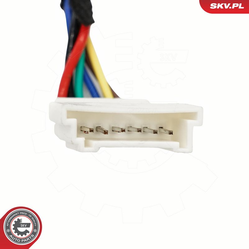 Elektrimootor, tagaluuk, ESEN SKV 52SKV979