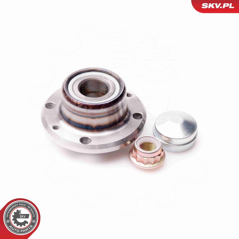 ESEN SKV 29SKV075 Wheel Bearing Kit