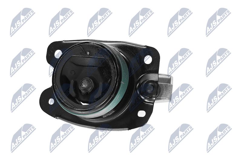 Paigutus, Mootor, NTY ZPS-CH-147