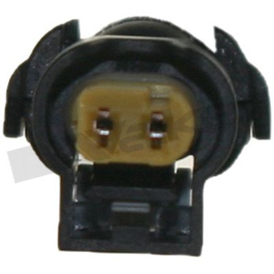 273-20356_4.JPG