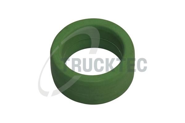 TRUCKTEC AUTOMOTIVE 03.14.050 - Turbinos tepalo išleidimo tarpinė