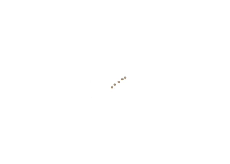 BOSCH F00ZC99736 Repair Kit, common rail system