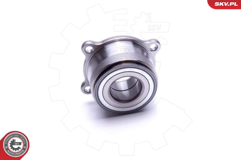 ESEN SKV 29SKV519 Wheel Bearing Kit