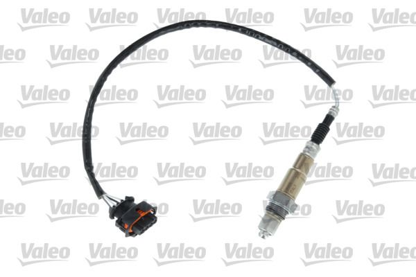 OXYGENSENSORS_368082_001.JPG