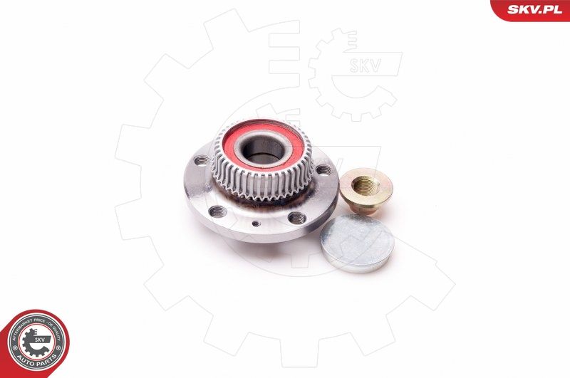 ESEN SKV 29SKV001 Wheel Bearing Kit