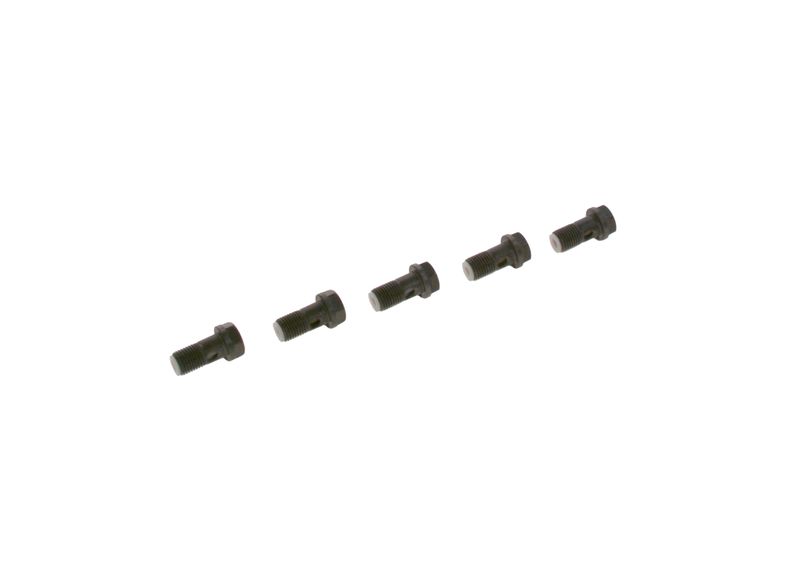 Surub F 019 D01 024 BOSCH