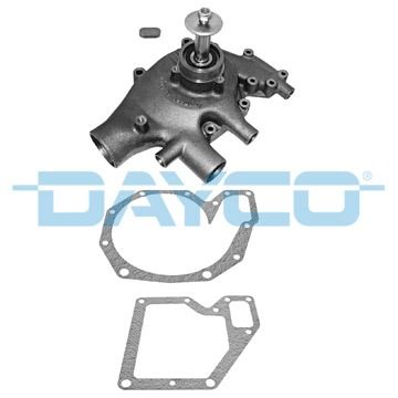 DP099.JPG